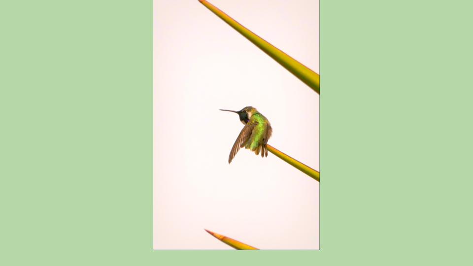 Image for Simplicity is the point (Mental/Emotional)